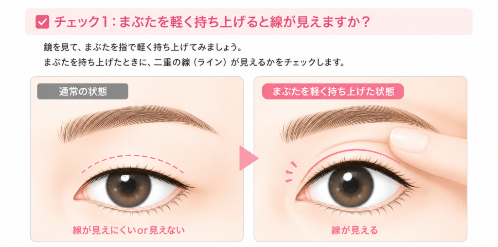 まぶたを持ち上げて二重ラインを確認する方法